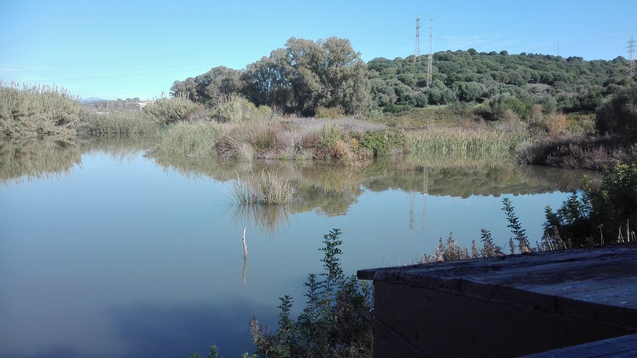 IMG 20181128 133702 (Copy)